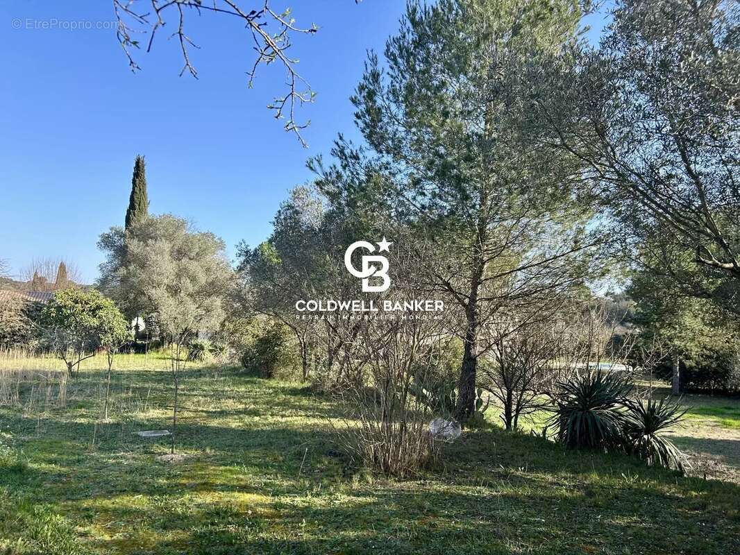 Terrain à CASTELNAU-LE-LEZ