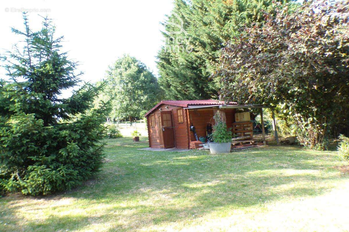 Maison 3 chambres   Terrain 3 400 m2   Plain-pied   Sous-sol - photo 17