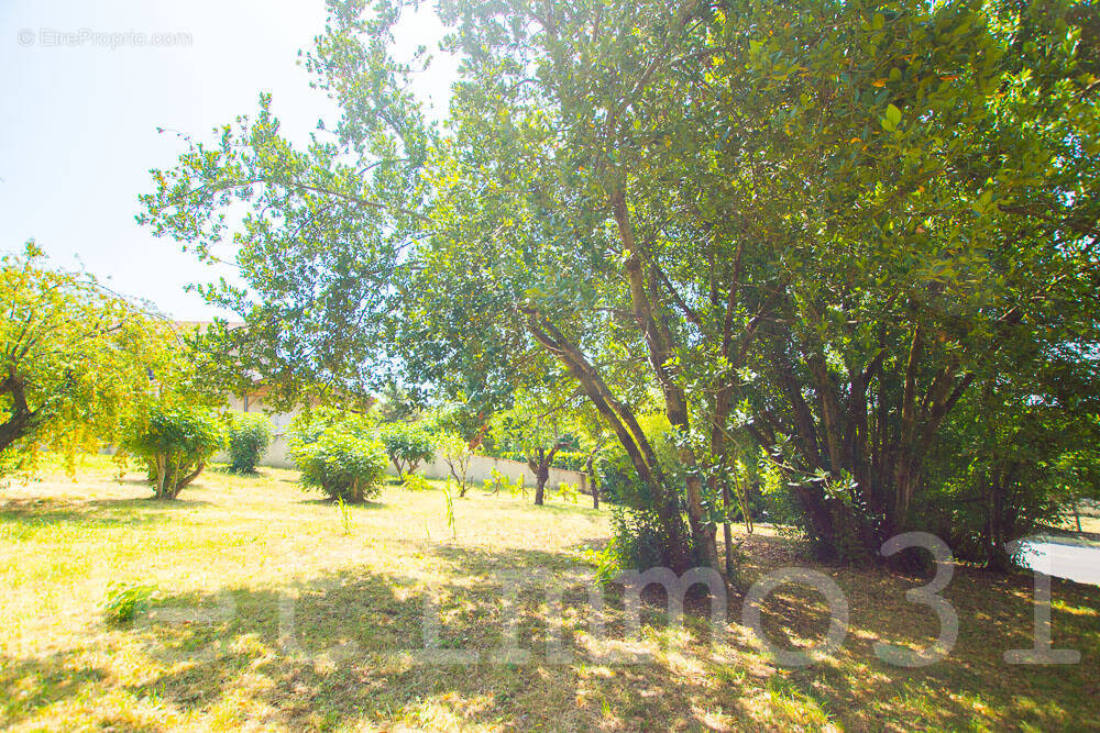 centre Puylaurens ensemble immobilier avec terrain constructible - photo 2