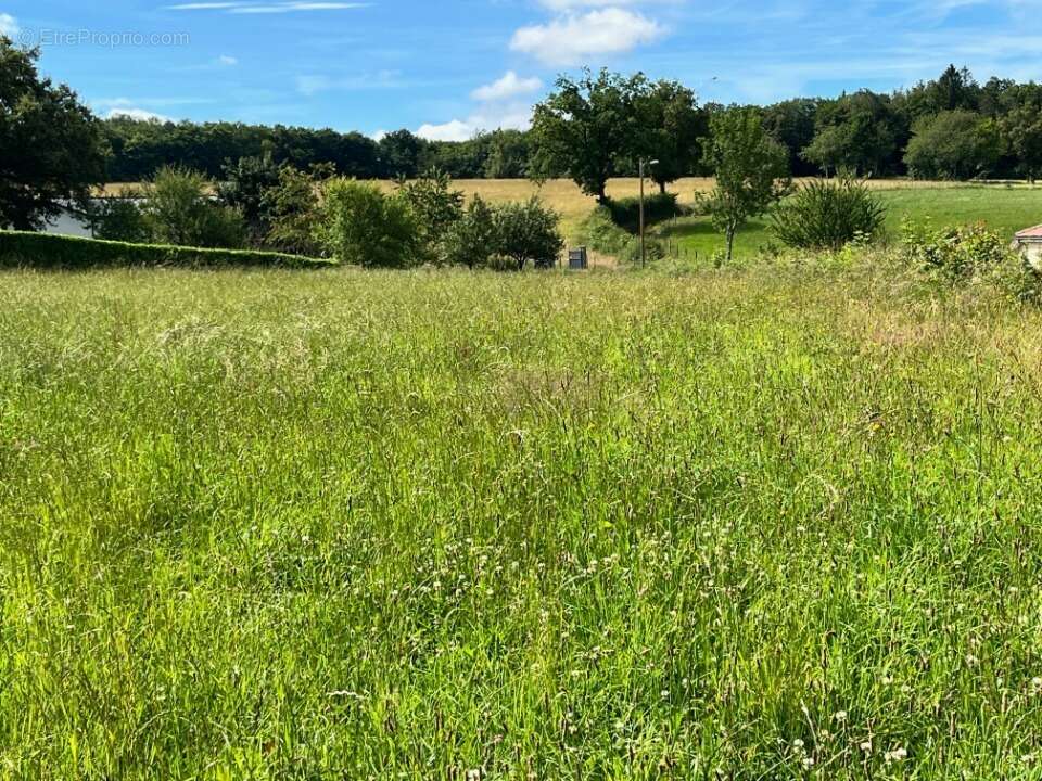 Terrain 1500 m² à Roannes-Saint-Mary  - photo 3