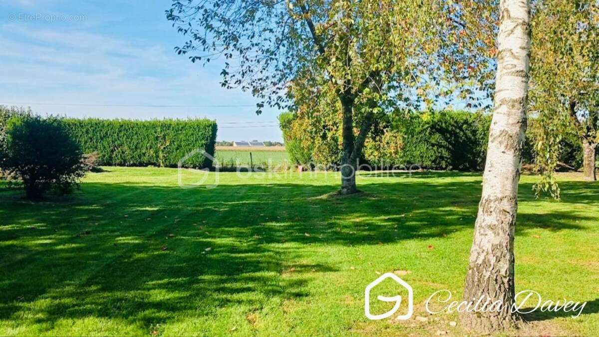 Maison à VILLENEUVE-SUR-YONNE