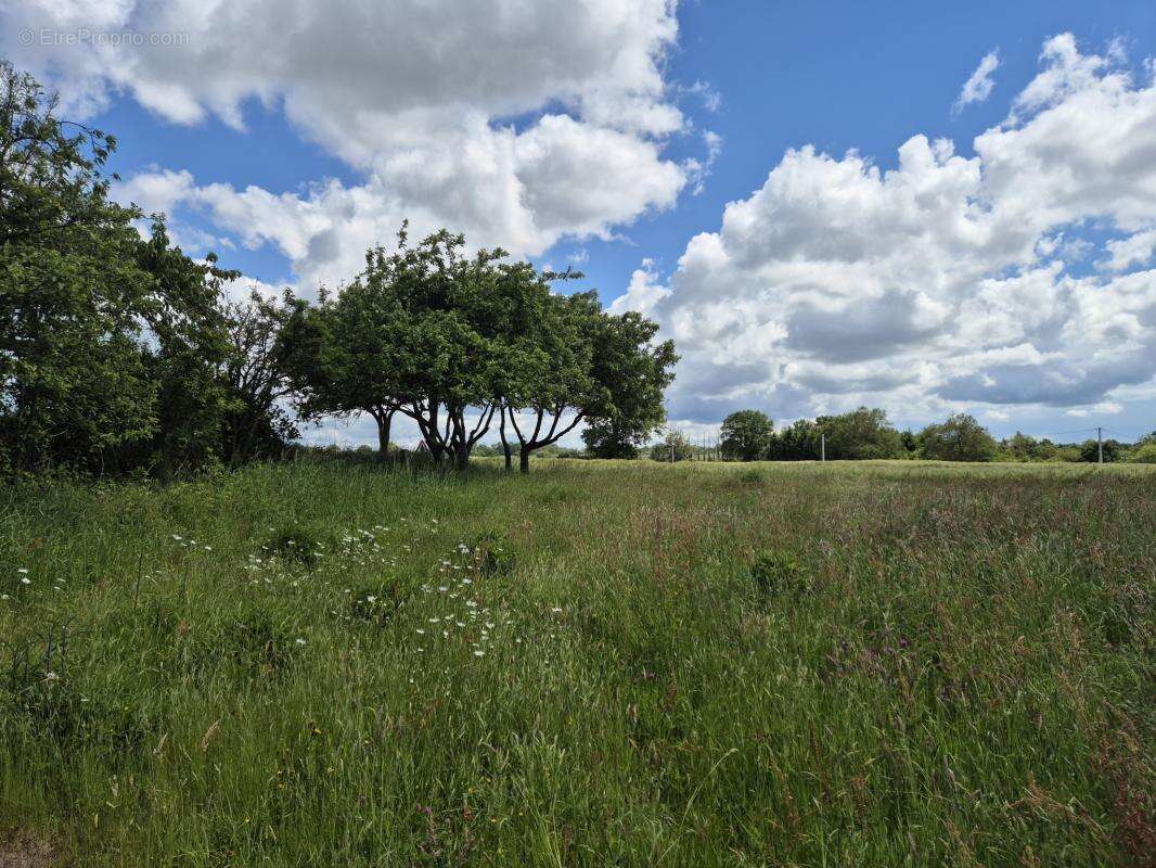 Longère habitable à rénover avec terrain d' 1 hectare et han - photo 5