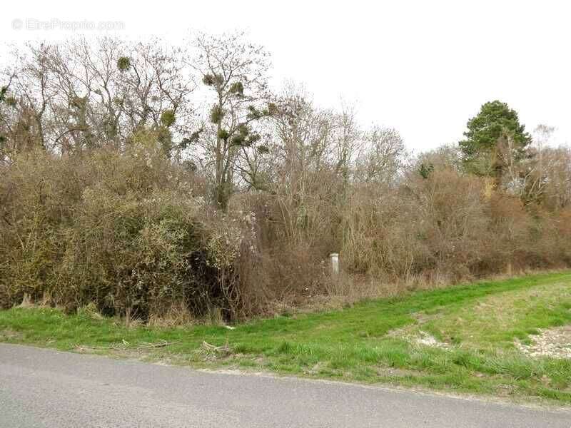 Terrain à MONTJAVOULT
