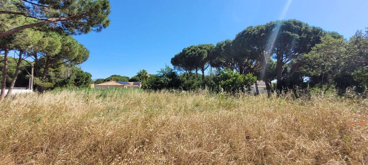 Terrain à AGDE