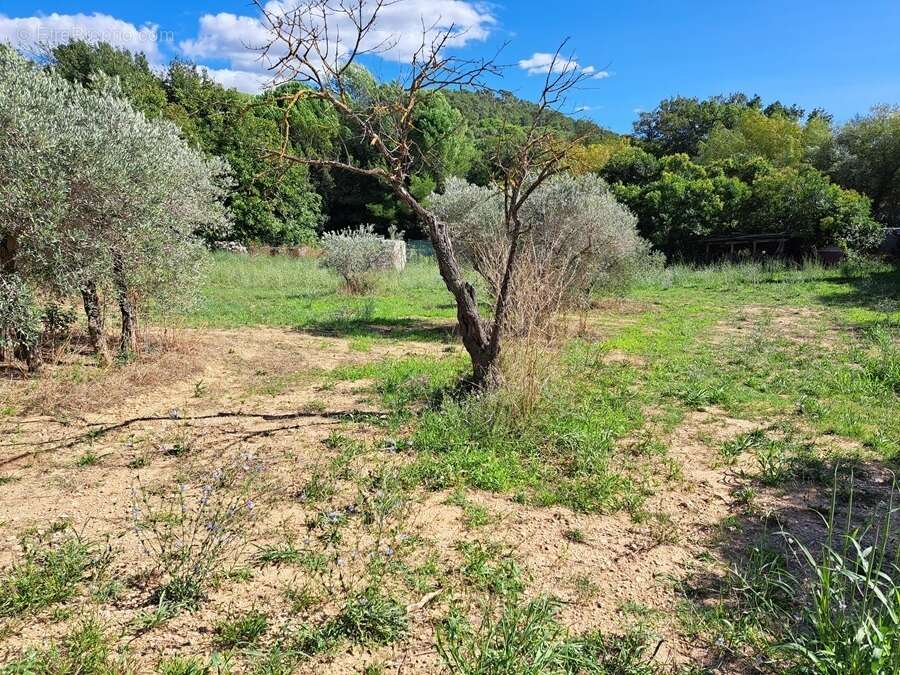 Terrain à VENTABREN