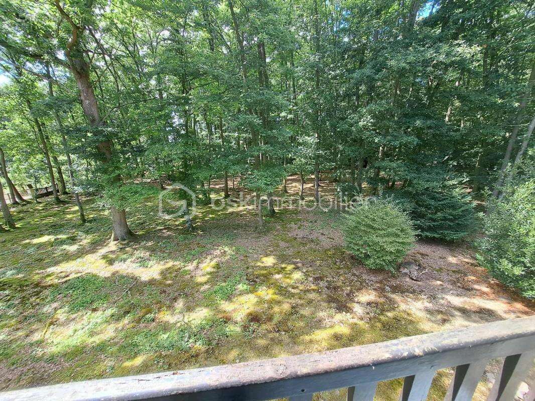 Maison au cœur d'une parcelle boisée – Coup de cœur assuré ! - photo 7