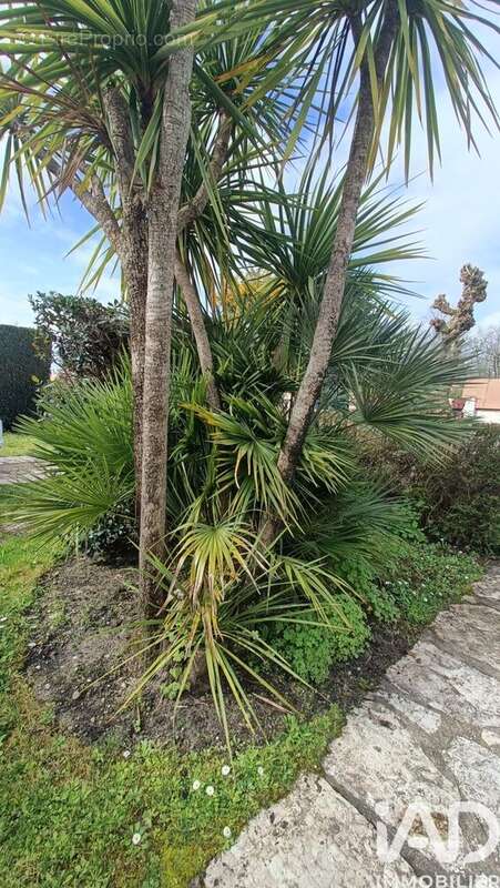 Photo 5 - Maison à ARSAC