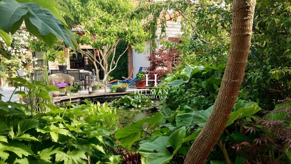 Maison à WITTERNESSE