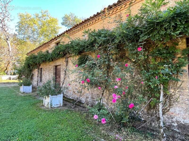 Maison à NOGARO
