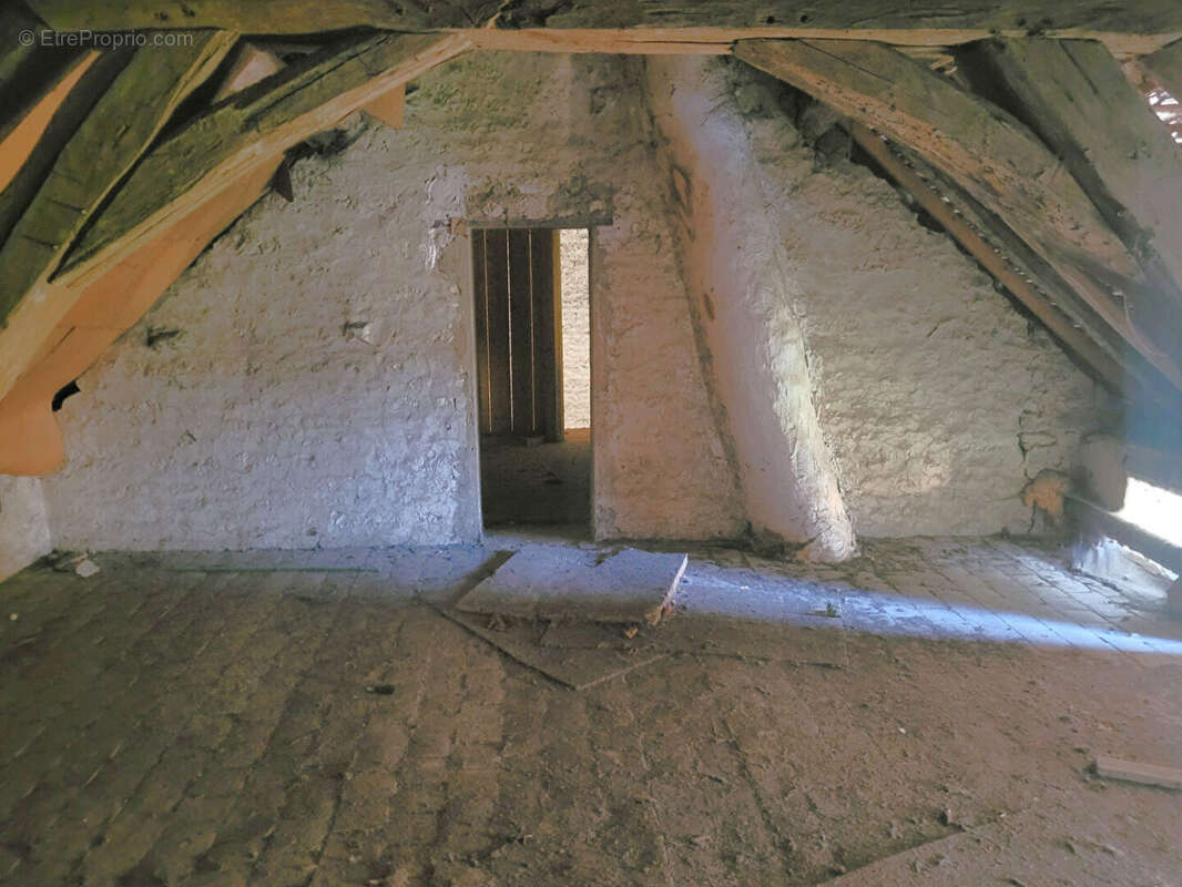 Maison à AILLANT-SUR-THOLON