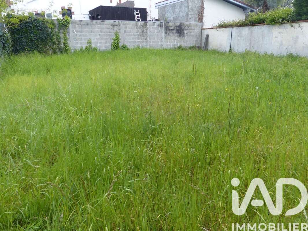 Photo 2 - Terrain à MONT-DE-MARSAN