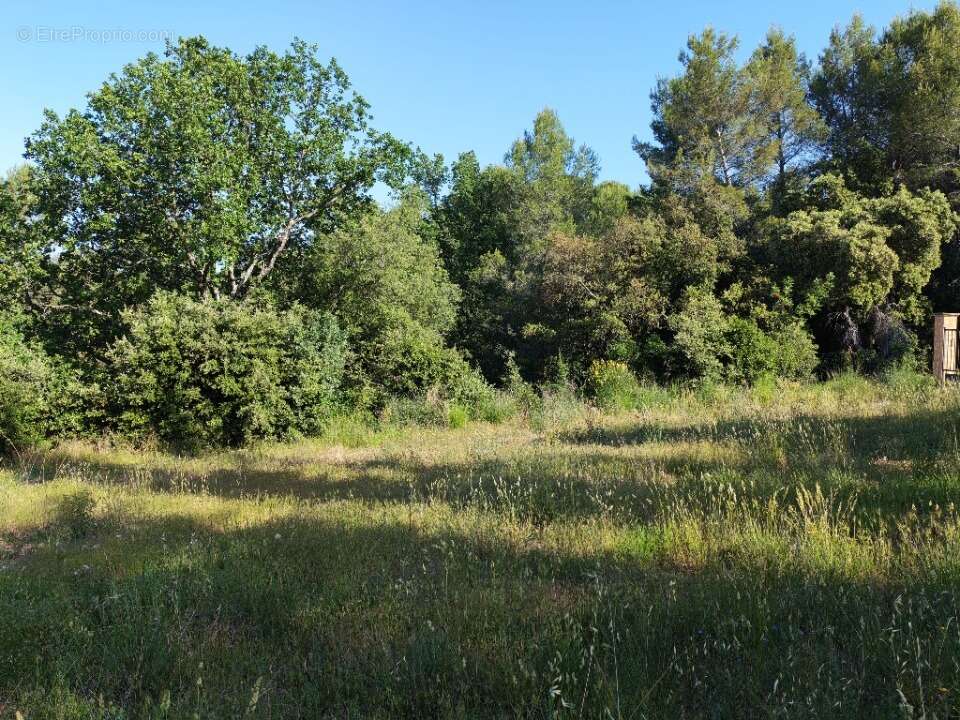 Terrain à LORGUES