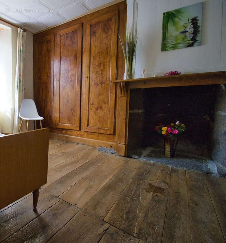 Maison à SAINT-VINCENT-DE-SALERS