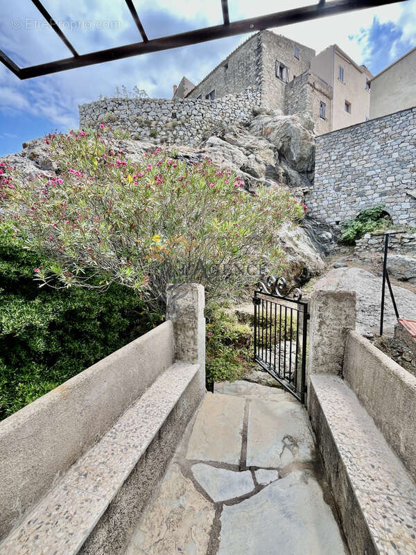 Maison de village speloncato - balagne - photo 4