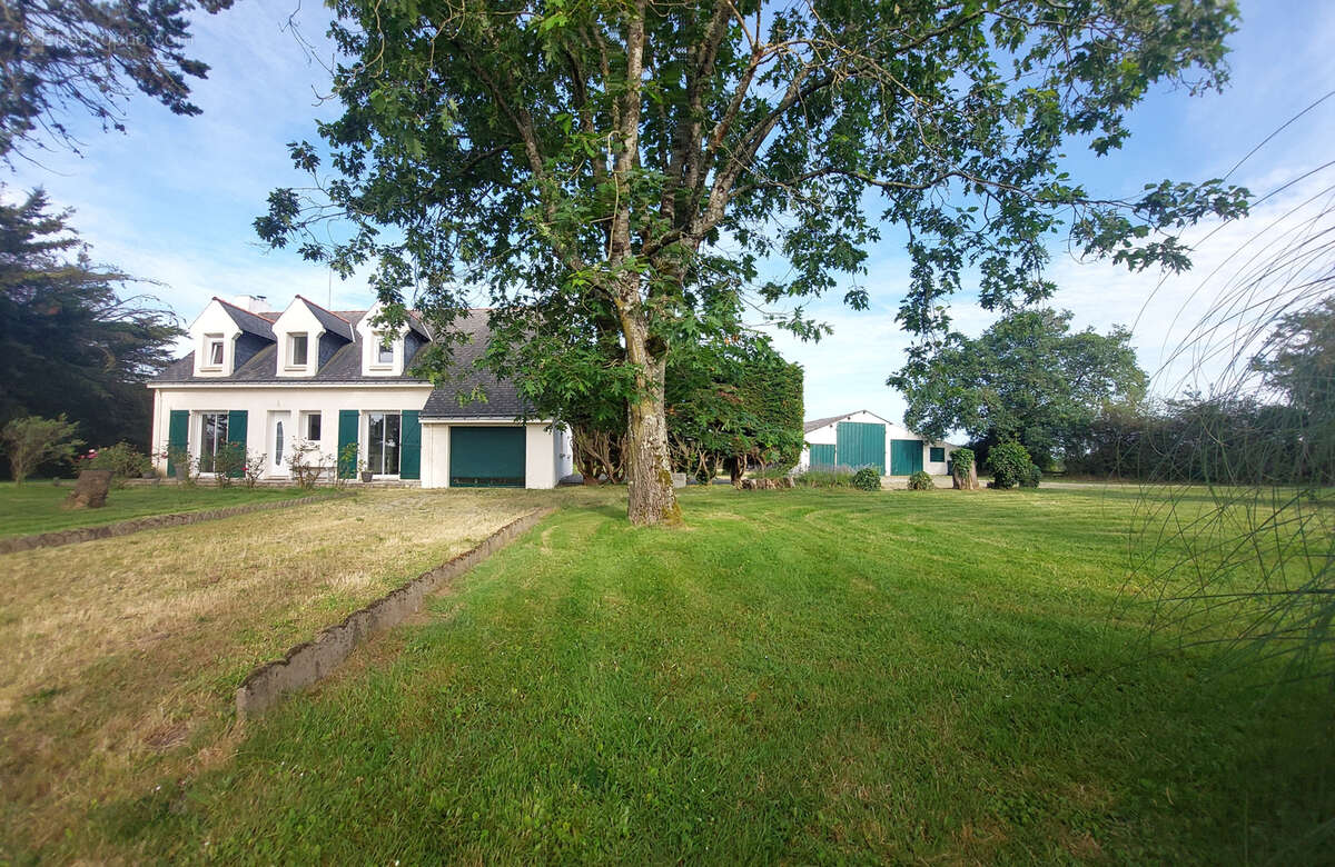 Maison à GRAND-AUVERNE