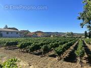 Terrain à VALLON-PONT-D&#039;ARC