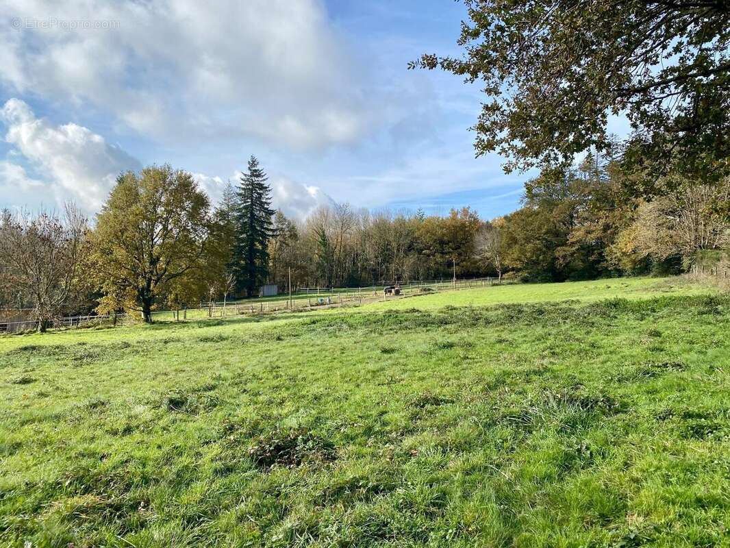 Photo 9 - Terrain à PONT-DE-LARN