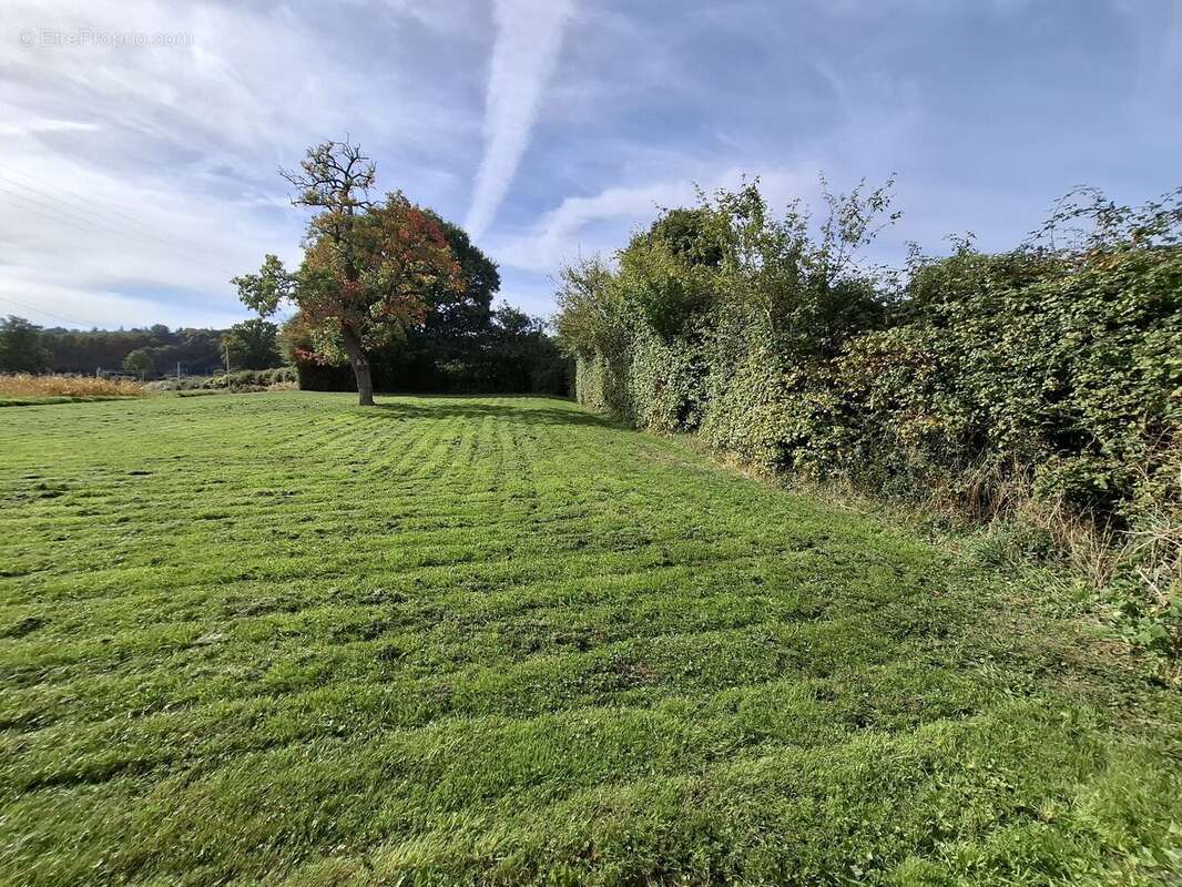 Maison à SAINTE-SABINE-SUR-LONGEVE