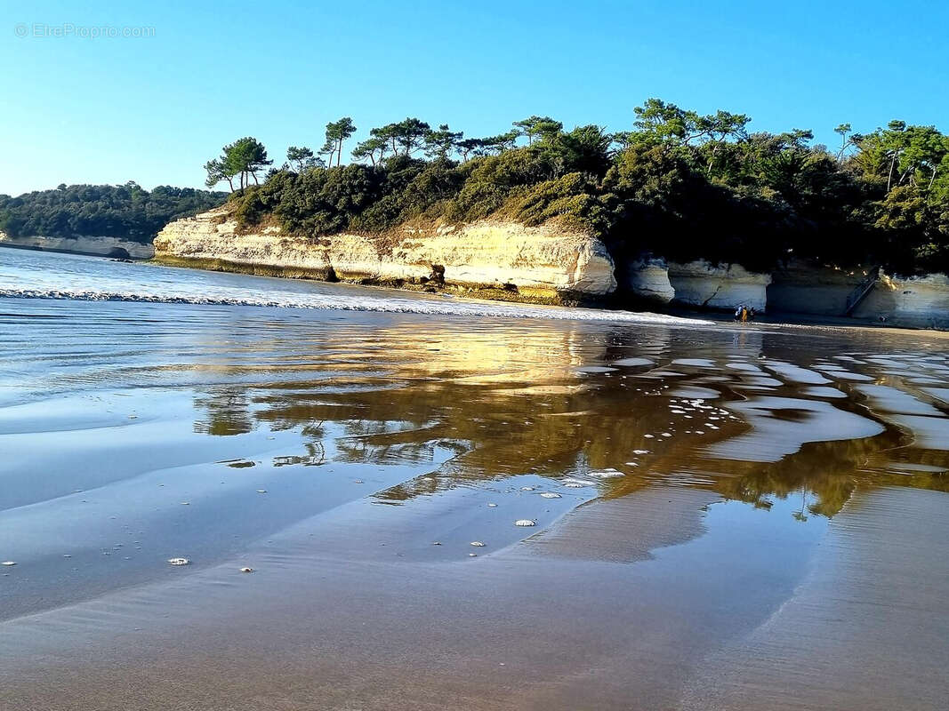Terrain à MESCHERS-SUR-GIRONDE