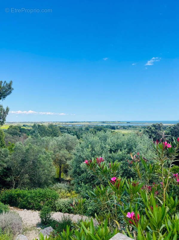 Propriété d'Exception entre Montpellier et Sète  650 m² · 2,5 ha · Vue Mer Panoramique à 180° - photo 13