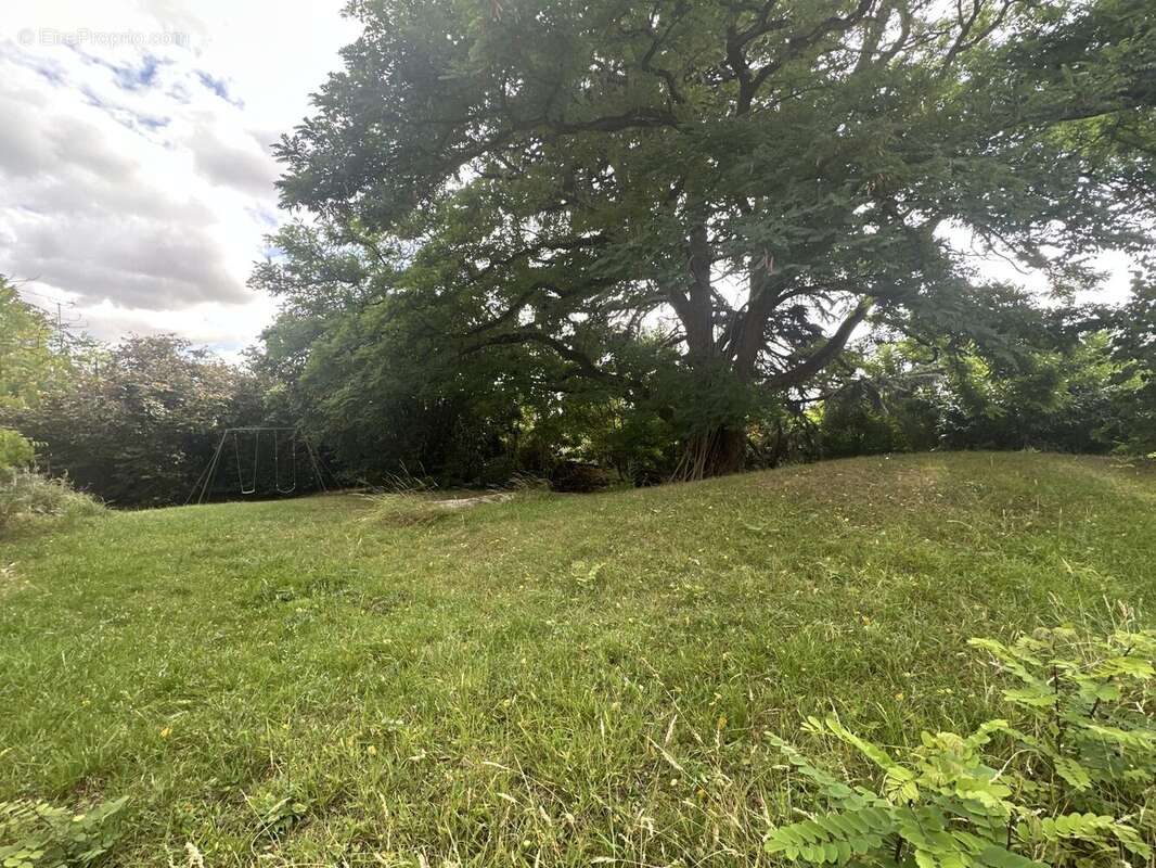 Terrain à MONTLHERY