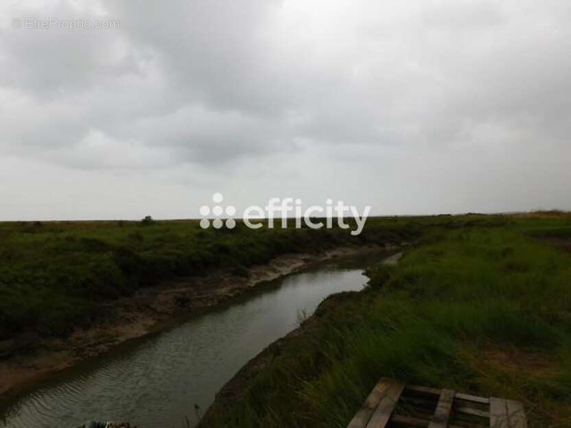 Commerce à DOLUS-D&#039;OLERON