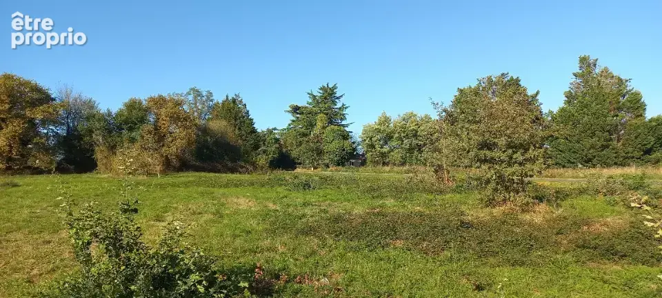 Terrain à SAINT-REMY