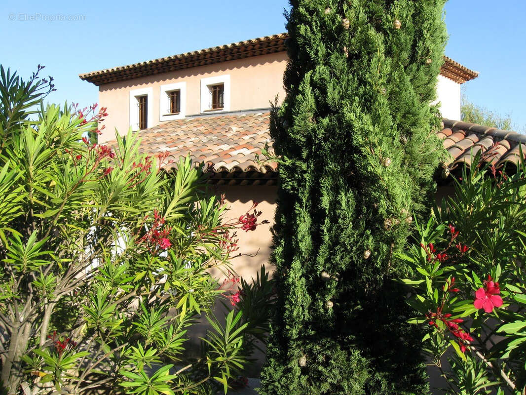 Maison 256 m2 - 5 chambres avec Piscine/ Pool house - BRIGNOLES - photo 3