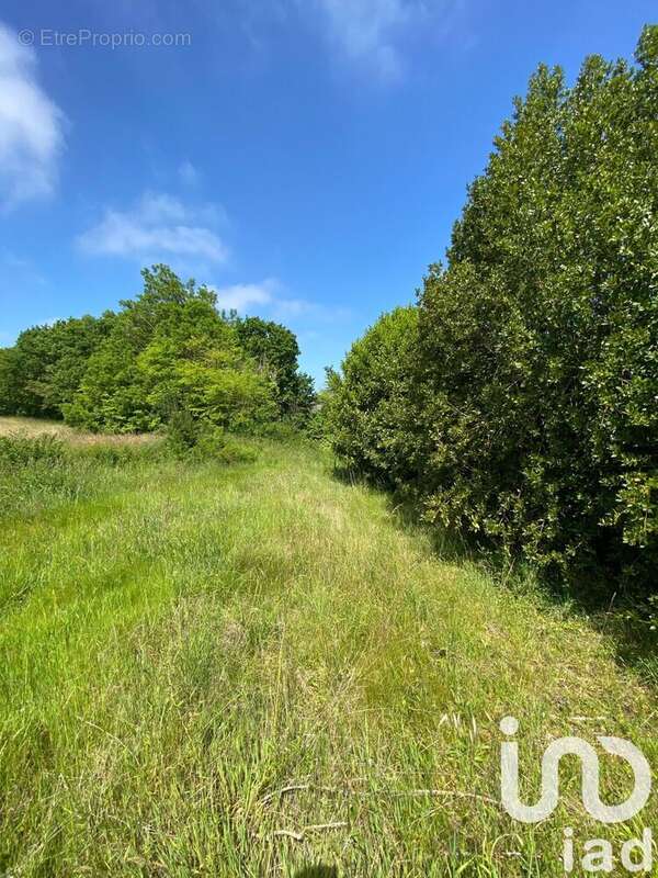 Photo 2 - Terrain à SAINT-QUAY-PORTRIEUX