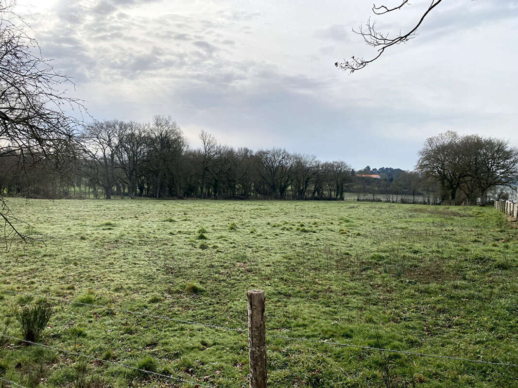 Terrain à ROUANS