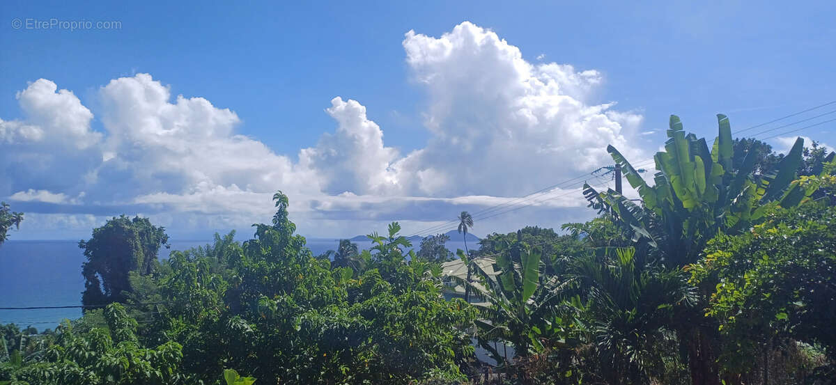 Maison à CAPESTERRE-BELLE-EAU