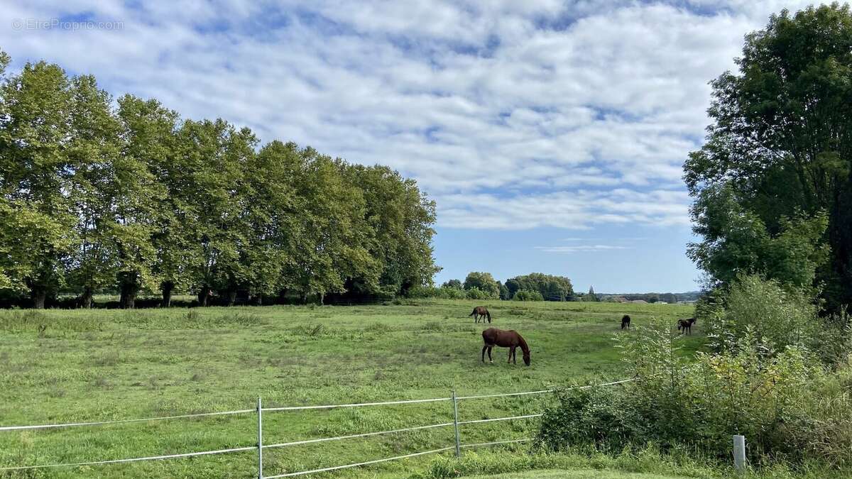 Terrain à SAINT-JEAN-DE-MARSACQ