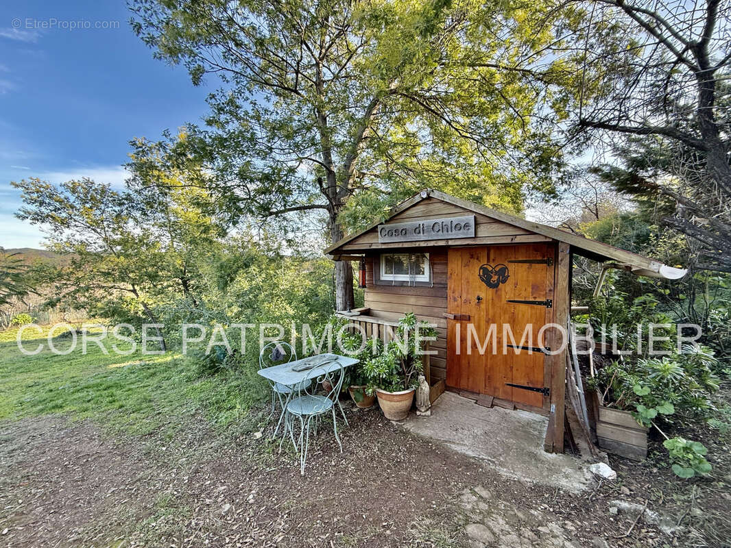 Maison à TALLONE