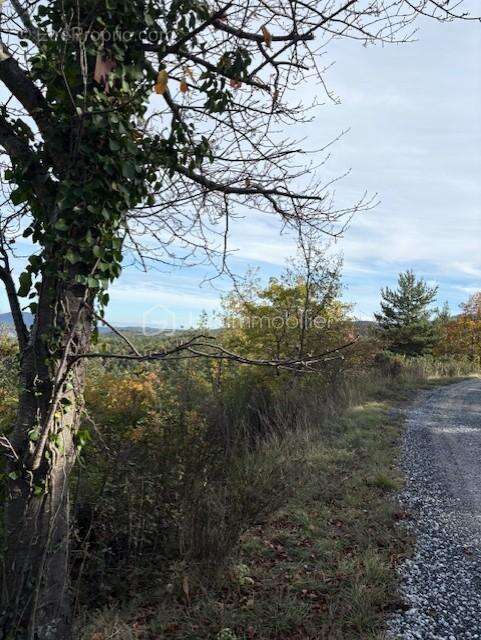 Terrain 10850 m2 Rabouillet - photo 4