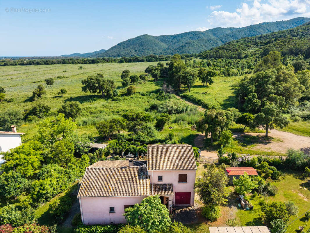 Maison PRUNELLI-DI-FIUMORBO: 5 pièces-140 m2 + Terrain 1450 m2 - photo 18