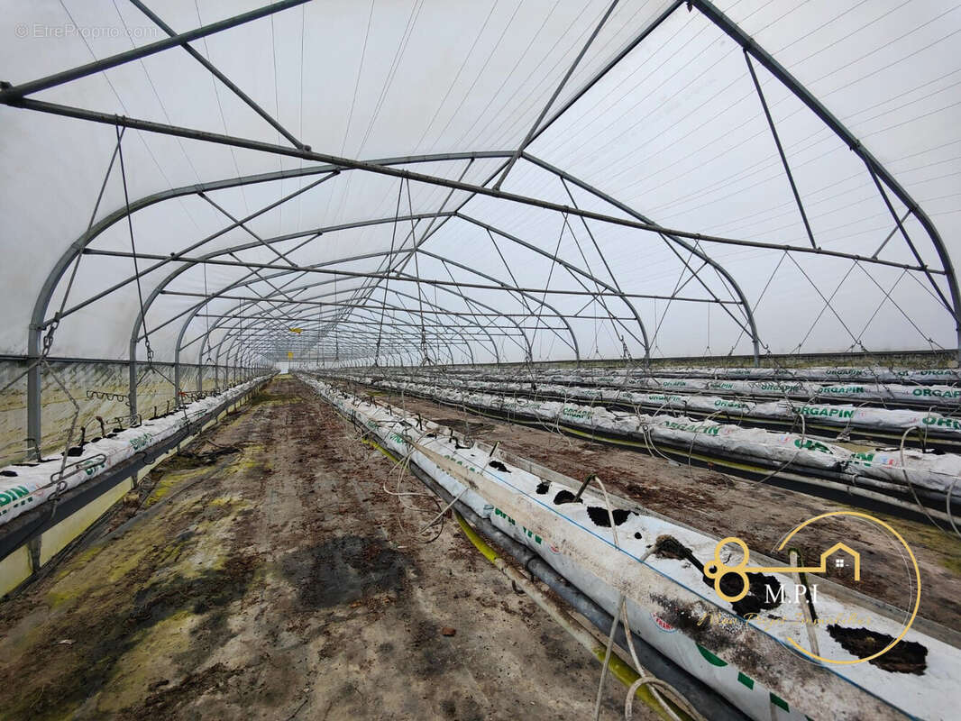 Maison à SAINT-DENIS-DES-MONTS