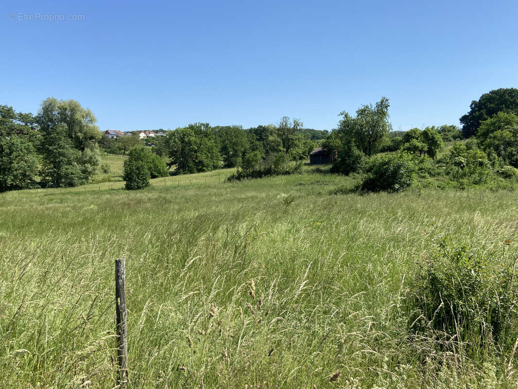 Terrain à REMELFING