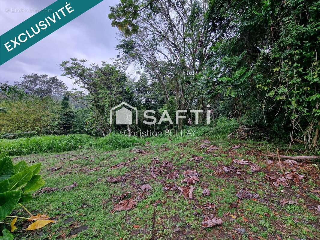 Photo 7 - Terrain à LE LAMENTIN
