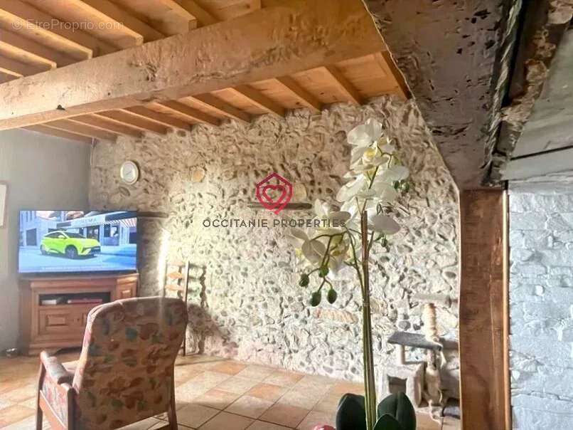 Ferme avec vue Pyrénées dégagée - photo 7