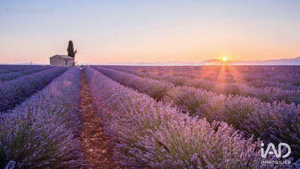 Photo 6 - Appartement à MANOSQUE