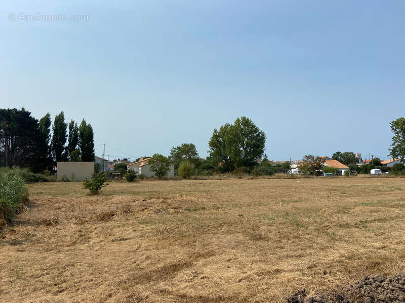 Terrain à L'AIGUILLON-SUR-MER