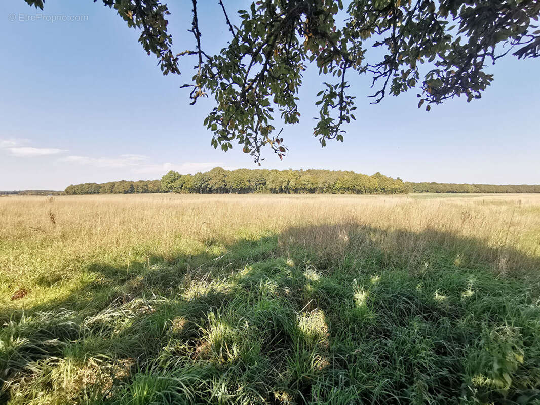 Maison à DAMPIERRE-SOUS-BROU