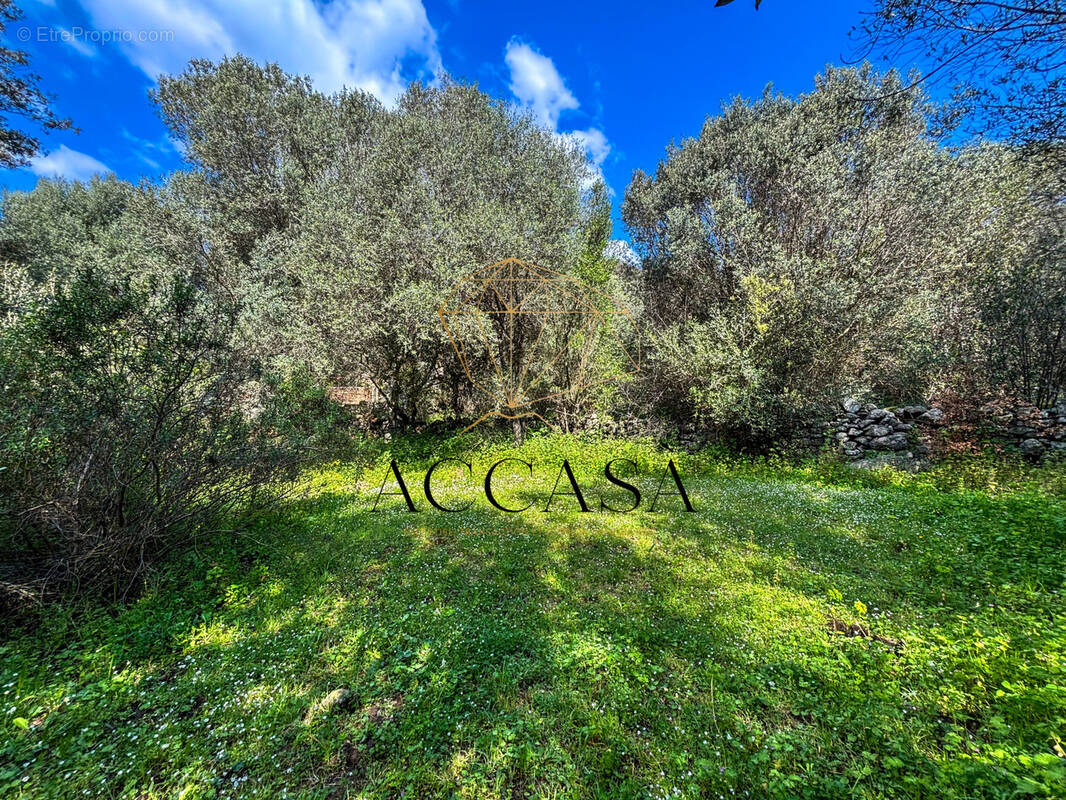 Terrain à FIGARI