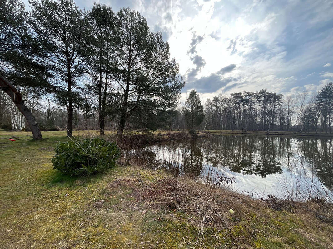 Maison à SAINTE-MONTAINE