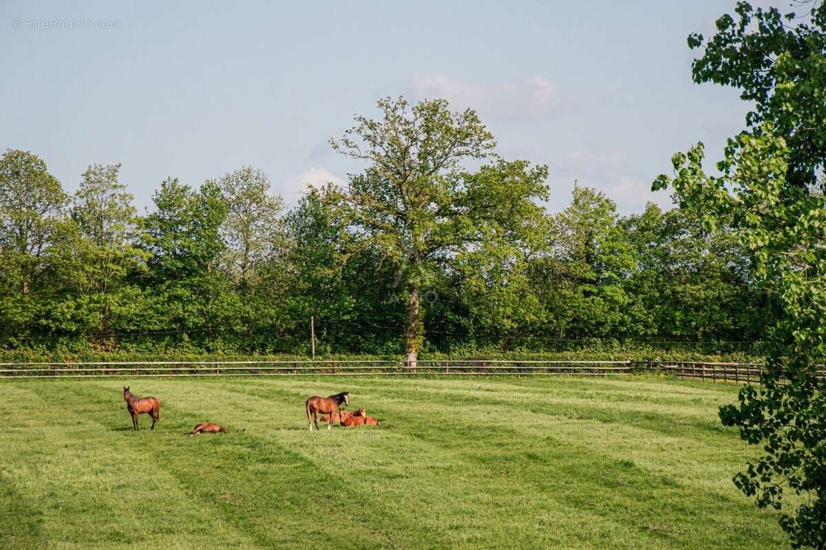 Maison à LA FERTE-MACE