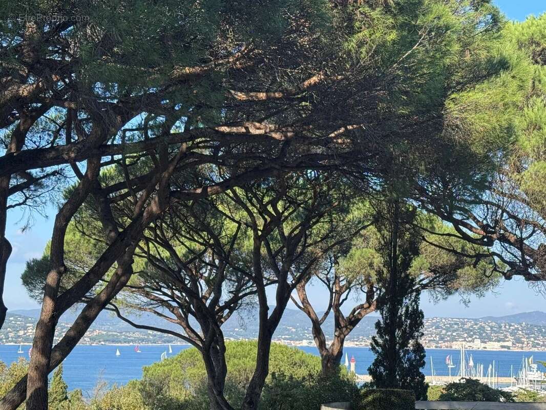 Appartement à SAINT-TROPEZ