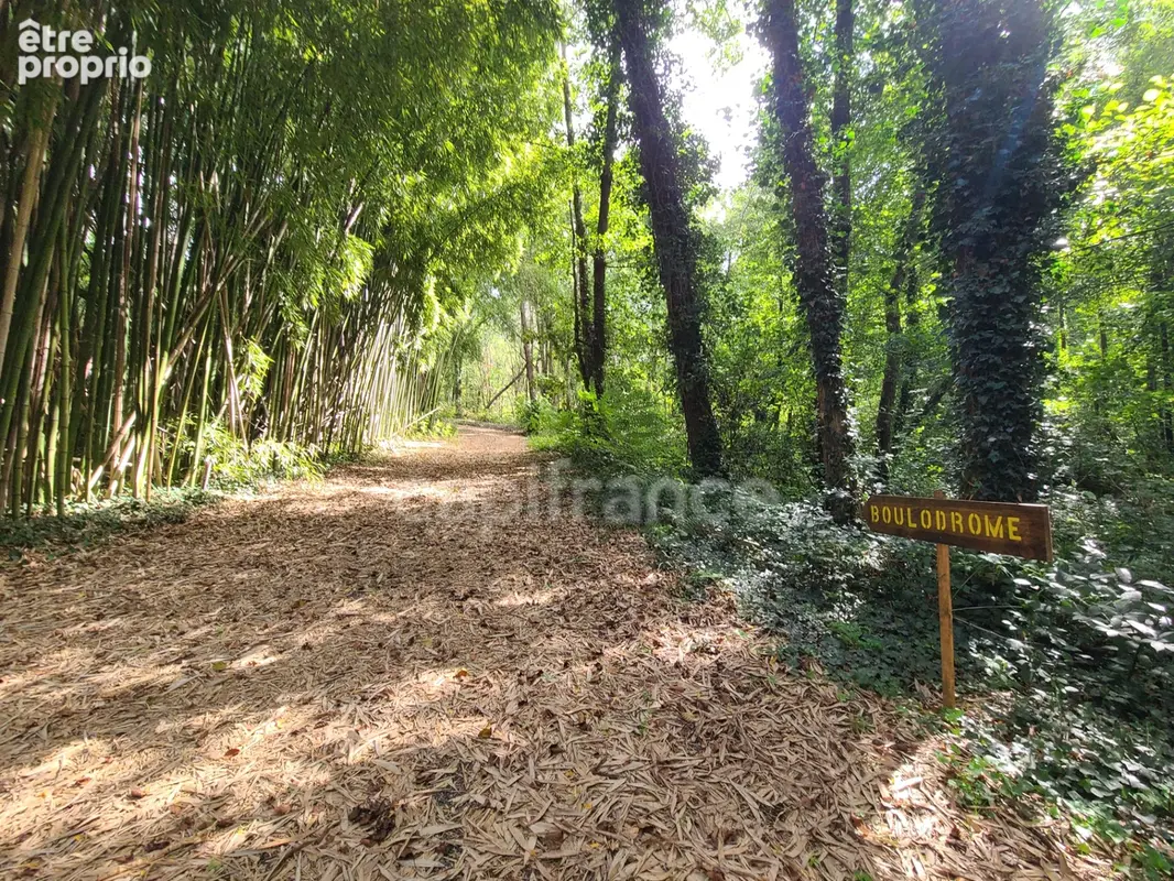 propriété de prestige d’environ 480 m² implantée sur un terrain de 3.4 hectares avec 2 gîtes et chambre d'hôte - photo 34