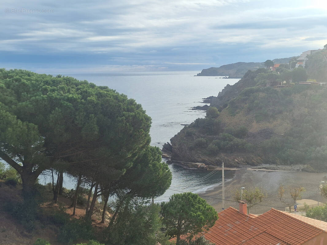 Appartement à BANYULS-SUR-MER