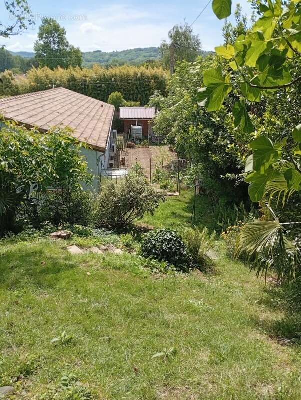 Maison à SAINT-JEAN-DU-FALGA