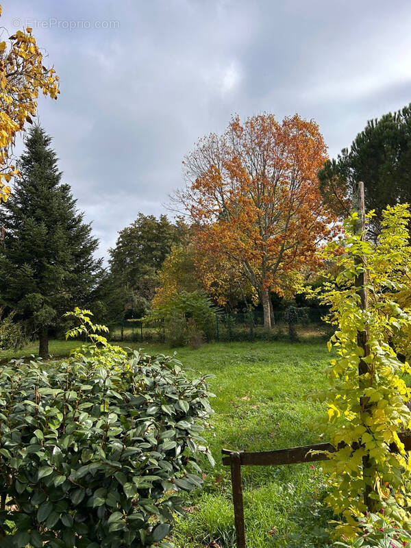 Terrain à LANDIRAS
